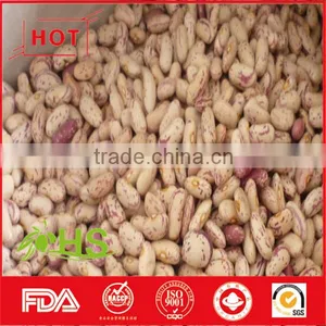 Light Coloured Speckled Kidney Beans for Sale thumbnail-4
