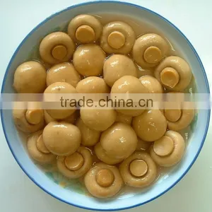 Canned Whole Button Mushroom thumbnail-2