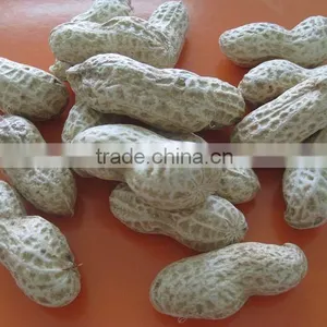 Chinese Peanut Kernels With Shell thumbnail-4