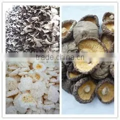 Qingdao Hilda-Jingyi Trading Co., Ltd. company overview - view 3 thumbnail