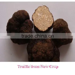 Matured Black Truffle thumbnail-1