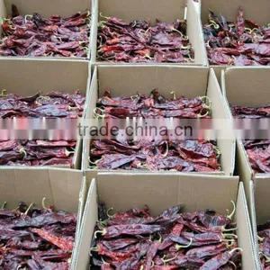 Red Paprika Pods thumbnail-4