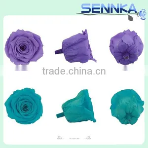 Natural Real Touch Flower Rose 2-3cm Flower Rose Head Preserved Fresh Flower thumbnail-6