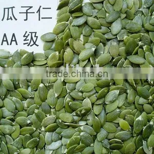 Pumpkin Seed Kernels thumbnail-1