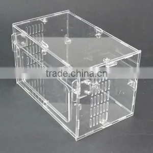 Plastic Terrariums thumbnail-1