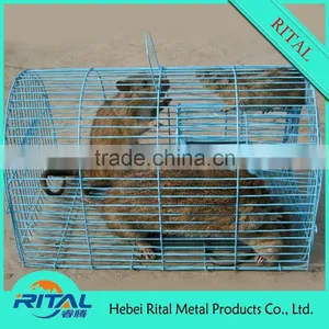 Live Trap Cage for Mouse Mice Rat Cage Trap thumbnail-2