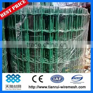 PVC Coated Holland Wire Mesh Fence Manufacturer&Exporter thumbnail-1