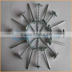 Top Quality Construction Common Roofing Nail Iron Nail Quality Assured Trusted Chuanghe Suppliers From Com thumbnail-4