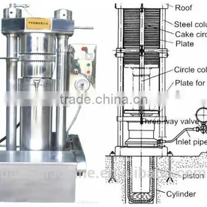 Per Hour 50kg Sesame Seed Hydraulic Cold Oil Making Machine With Best Factory Price thumbnail-2