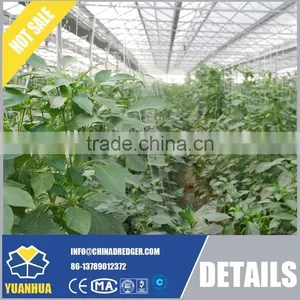 Multi Span Polycarbonate Sheet Greenhouse thumbnail-6