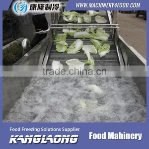 Large Output Vegetables Bubble Washing Machine With Great Price thumbnail-1