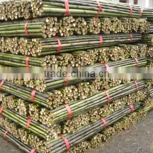 Structural Bamboo Stick thumbnail-1