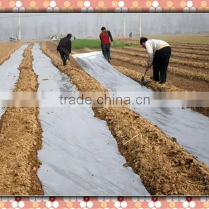 Mulch Covering Film thumbnail-1