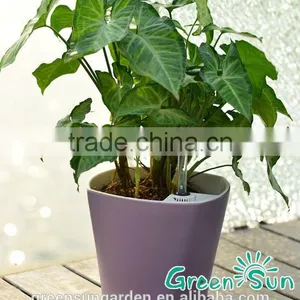 Cheap Flower Pots Plant for Sale thumbnail-1