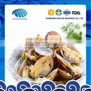 Frozen Vacuumed Baby Clam Size 11-20 thumbnail-1