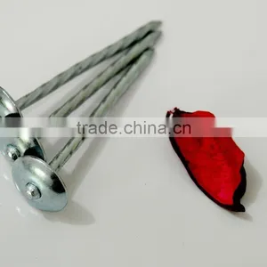 China Unique Galvanized Roofing Nails With Umbrella Head thumbnail-1