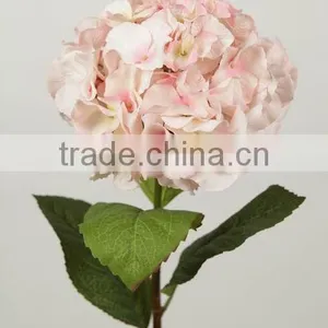 Stable Supplying High Quality Variegate Color Corn Husks Flowers thumbnail-1