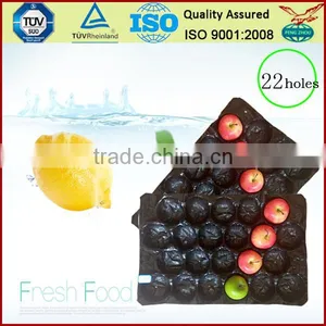 China Supply Factory Price PP ProtectiveTray for Apple Packing thumbnail-1