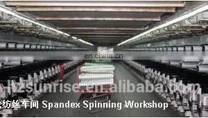 Top Quality AA Grade Spandex Yarn 30D for Beachwear thumbnail-6