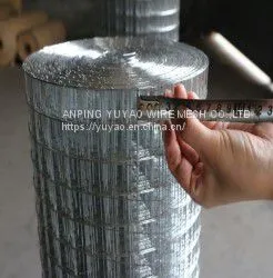 Factory Low Price 1/2 Inch Green 1X2 Pvc Coated Welded Wire Mesh thumbnail-4