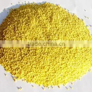 Chinese Millet (yellow or White Color) thumbnail-1