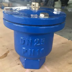 Automatic Air Vent Valve Double Orifice Cast Steel DI QT450 DN50 PN16 PN25 Screwed Single Sewage Pipe Air Release Exhaust Valve thumbnail-4