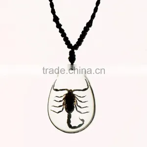 2016 Hot-selling Souvenir Gifts Resin Necklace With Real Insect thumbnail-1