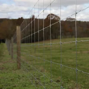 Farm Field Cattle Fence High Tensile Hinge Joint Fixed Knot Galvanized Sheep Farm Field Deer Cattle Mesh Fence thumbnail-3