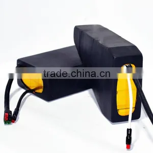 E-bike Lithium Battery, E-bike Battery, Electric Bicycle Battery thumbnail-1