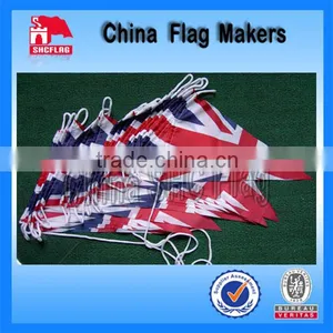 Pvc Bunting thumbnail-1