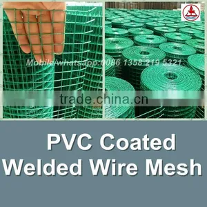 China Facotry Green Color Epoxy Coated Wire Mesh thumbnail-3