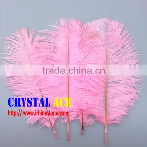 Wholesale Colourful Dyed Ostric Feather, Feather Ostric Plumes for Carnival Costumes thumbnail-3