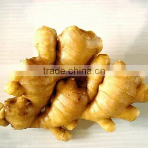 Specification Fresh Ginger thumbnail-1