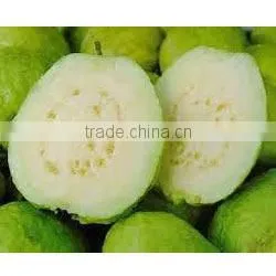 GOOD QUALITY Fresh White Guava thumbnail-1