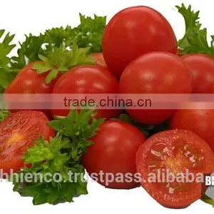 Pickled Tomatoes in 1500ml Glass Jar and 720ml Glass Jar. thumbnail-2