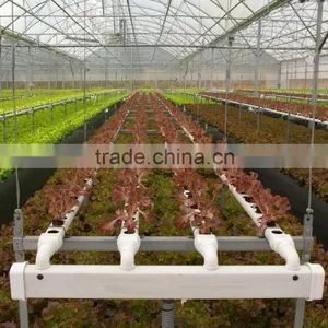 Hydroponic NFT Channles and Gullies for Lettuce and Salad Greenhouse thumbnail-1