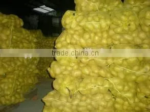 New Crop Cold Storage for Potato With High Quality thumbnail-1