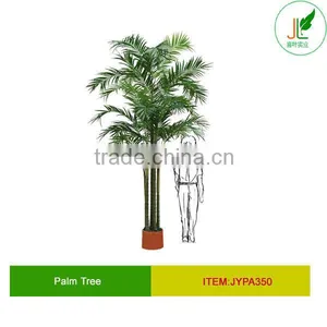 12ft High Palm Tree for Indoor Decoration thumbnail-1