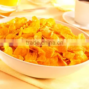 Customized Breakfast Cereal Elevator/ Elevator/ Food Grade Conveyor thumbnail-3