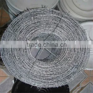 Hot Sales Galvanized or PVC Barbed Iron Wire thumbnail-5