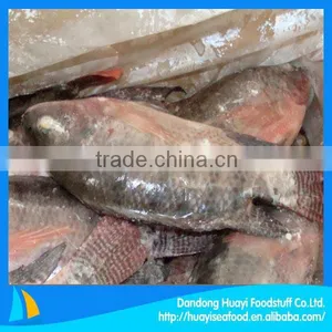 Frozen Fish Tilapia thumbnail-1