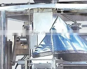 SW-P420 Stable Weighing Filling Machine Stand Pouches For Hard Candy thumbnail-4