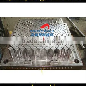 Huge Plastic Injection Tray Mold for Goods thumbnail-1