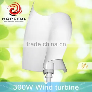 300w 12v Small Vertical Axis Wind Turbine Generator Chinese Made Generator for Sale thumbnail-2