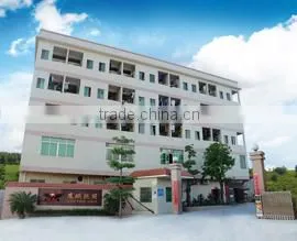 Foshan City Nanhai Yingpeng Lighting Co., Ltd company overview - view 1 thumbnail