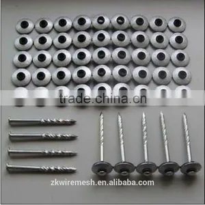 Galvanized Common Nails/Common Wire Nails/Iron Nails thumbnail-3