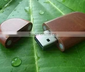 Recycled Usb Pendrive Bamboo Usb Flash Memory Wood USB Flash Drive thumbnail-1