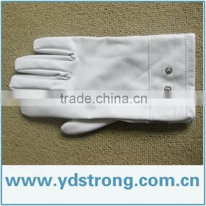 Beauty Gloves thumbnail-1
