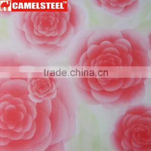 High Quality Customized Design Camelsteel Decorative Steel Coil thumbnail-2