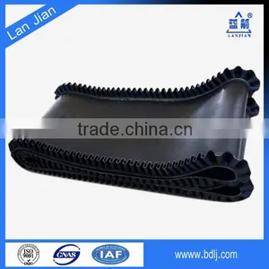 China High Wall Sidewall Transport Sidewall High Quality Conveyor Solution thumbnail-3